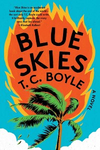 Cover Blue Skies: A Novel