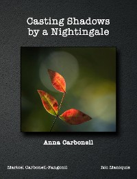 Cover Casting Shadows by A Nightingale
