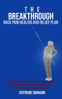Cover The Breakthrough Back Pain Healing and Relief Plan