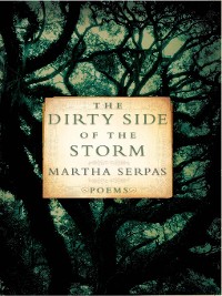 Cover The Dirty Side of the Storm: Poems