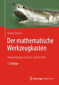Cover Der mathematische Werkzeugkasten