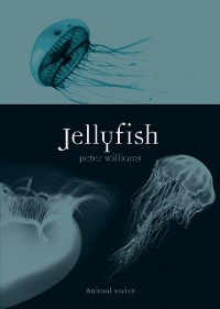 Cover Jellyfish