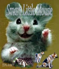 Cover Smart Little Mouse. Children's book