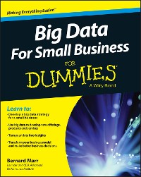 Cover Big Data For Small Business For Dummies