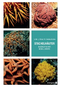 Cover Stachelhäuter indopazifischer Korallenriffe