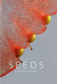 Cover Seeds