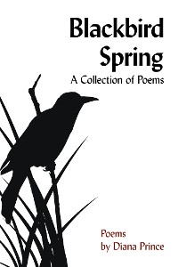 Cover Blackbird Spring