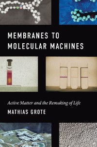 Cover Membranes to Molecular Machines
