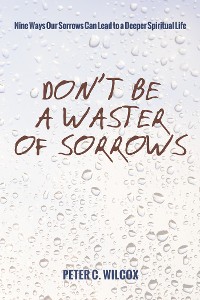 Cover Don’t Be a Waster of Sorrows