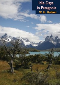 Cover Idle Days in Patagonia