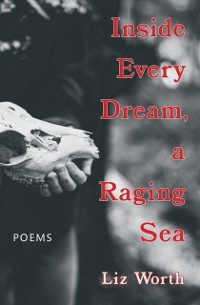 Cover Inside Every Dream, a Raging Sea