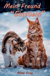 Cover Mein Freund "Einstein"