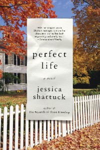 Cover Perfect Life: A Novel