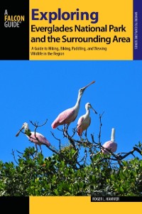 Cover Exploring Everglades National Park and the Surrounding Area