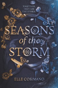 Cover Seasons of the Storm