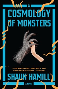 Cover Cosmology of Monsters