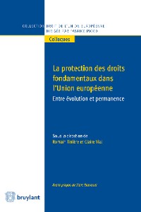 Cover Protection des droits fondamentaux dans l'union Européenne