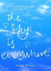 Cover Sky Is Everywhere