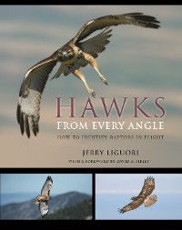 Cover Hawks from Every Angle
