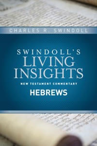 Cover Insights on Hebrews