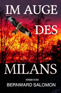 Cover Im Auge des Milans