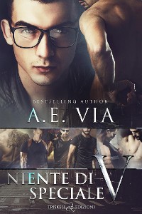 Cover Niente di speciale V