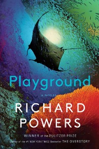 Cover Playground: A Novel