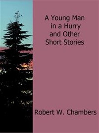 Cover A Young Man in a Hurry and Other Short Stories