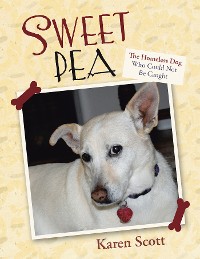 Cover Sweet Pea
