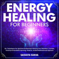 Cover Energy Healing for Beginners