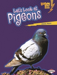 Cover Let's Look at Pigeons