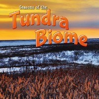 Cover Seasons Of The Tundra Biome