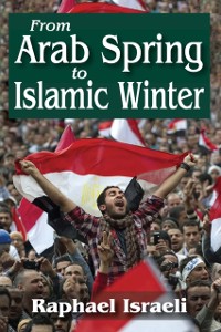 Cover From Arab Spring to Islamic Winter