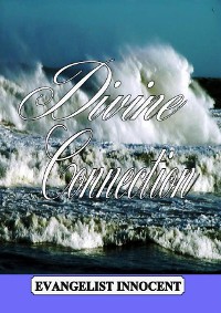 Cover Divine Connection