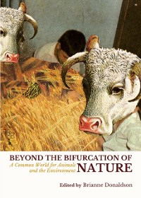 Cover Beyond the Bifurcation of Nature