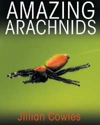 Cover Amazing Arachnids