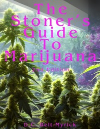 Cover Stoner's Guide
