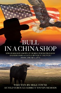 Cover Bull in a China Shop