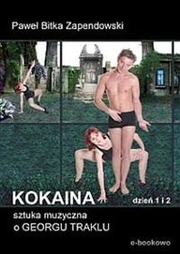 Cover Kokaina