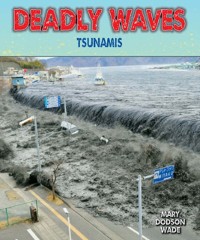 Cover Deadly Waves
