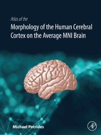 Cover Atlas of the Morphology of the Human Cerebral Cortex on the Average MNI Brain