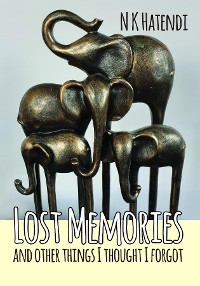 Cover Lost Memories and other things I thought I forgot
