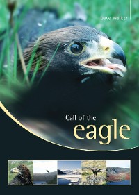 Cover Call of the Eagle