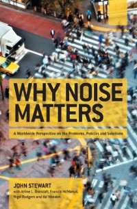 Cover Why Noise Matters