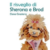 Cover Il Risveglio di Sherona e Brod