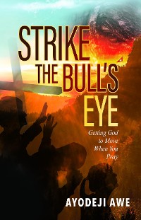 Cover Strike the Bull's Eye