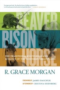 Cover Beaver, Bison, Horse