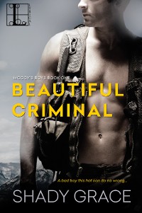 Cover Beautiful Criminal