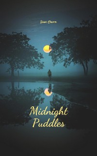 Cover Midnight Puddles