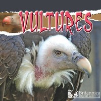 Cover Vultures